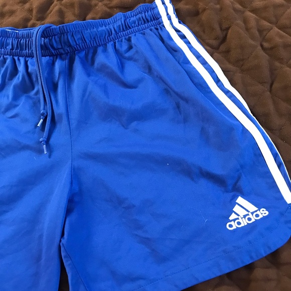 blue womens adidas shorts